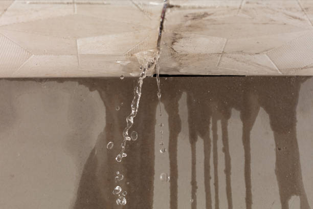 Professional Sewage Cleanup technician working in Blooming Grove, TX